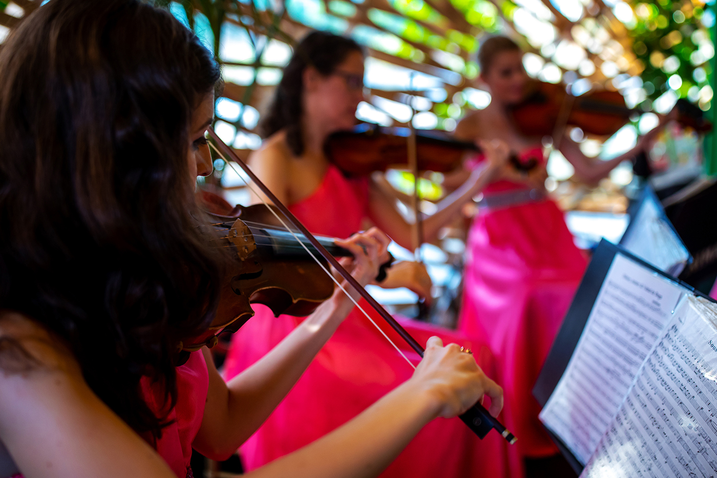 Musiciste durante il matrimonio